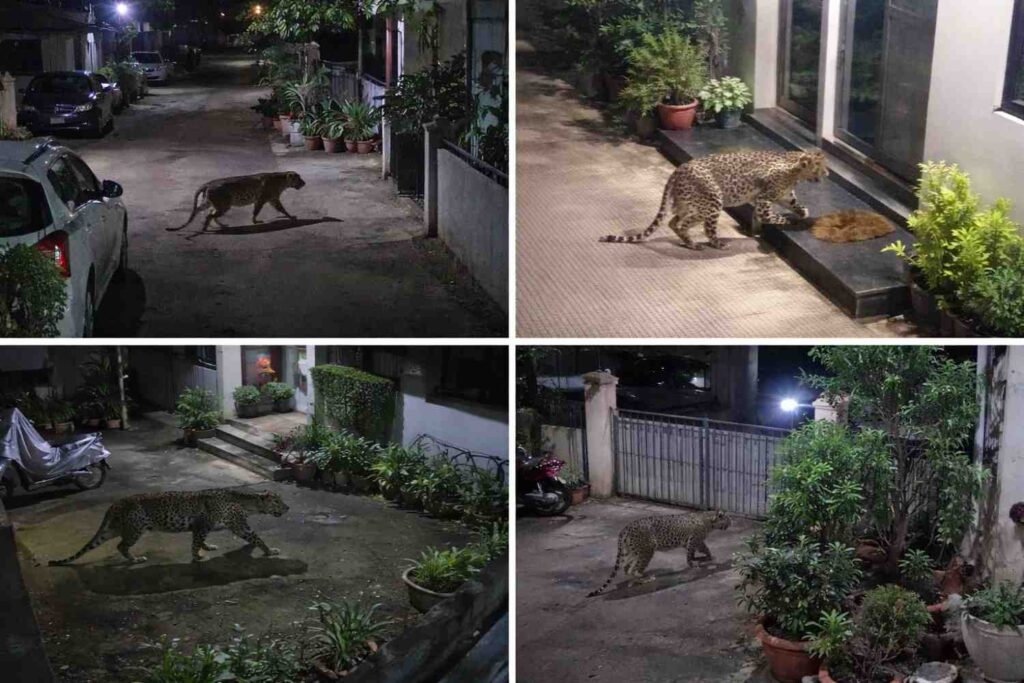 ChatGPTImageDec26202510_57_48P