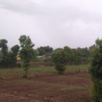अकोले तालुक्यात मान्सूनचे दमदार आगमन; संततधारेने बळीराजा सुखावला, खरीप पेरणीची लगबग सुरू!