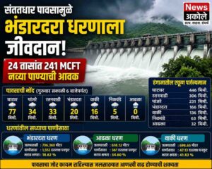 संततधार पावसामुळे भंडारदरा धरणाला जीवदान; २४ तासांत २४१ एमसीएफटी नव्या पाण्याची आवक, पाणलोट क्षेत्रात मुसळधार पाऊस
