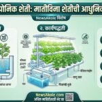हायड्रोपोनिक शेती म्हणजे काय? मातीशिवाय शेती, खर्च, पिके आणि नफा