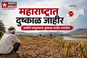 महाराष्ट्रात 265 तालुक्यांमध्ये दुष्काळ जाहीर; अकोले तालुक्याचाही समावेश