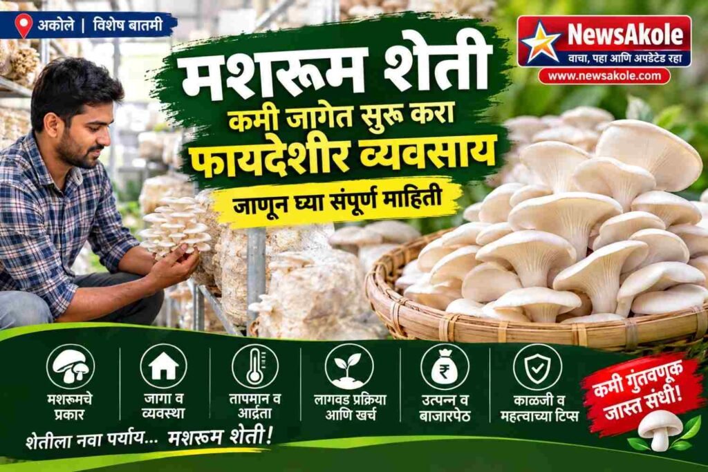 मशरूम शेती