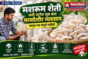 मशरूम शेती
